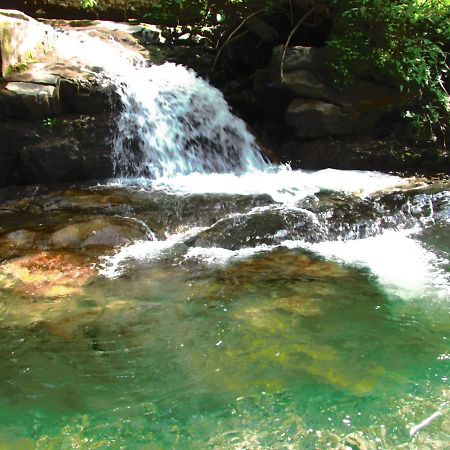 Chalet 294 Mellau Luaran gambar