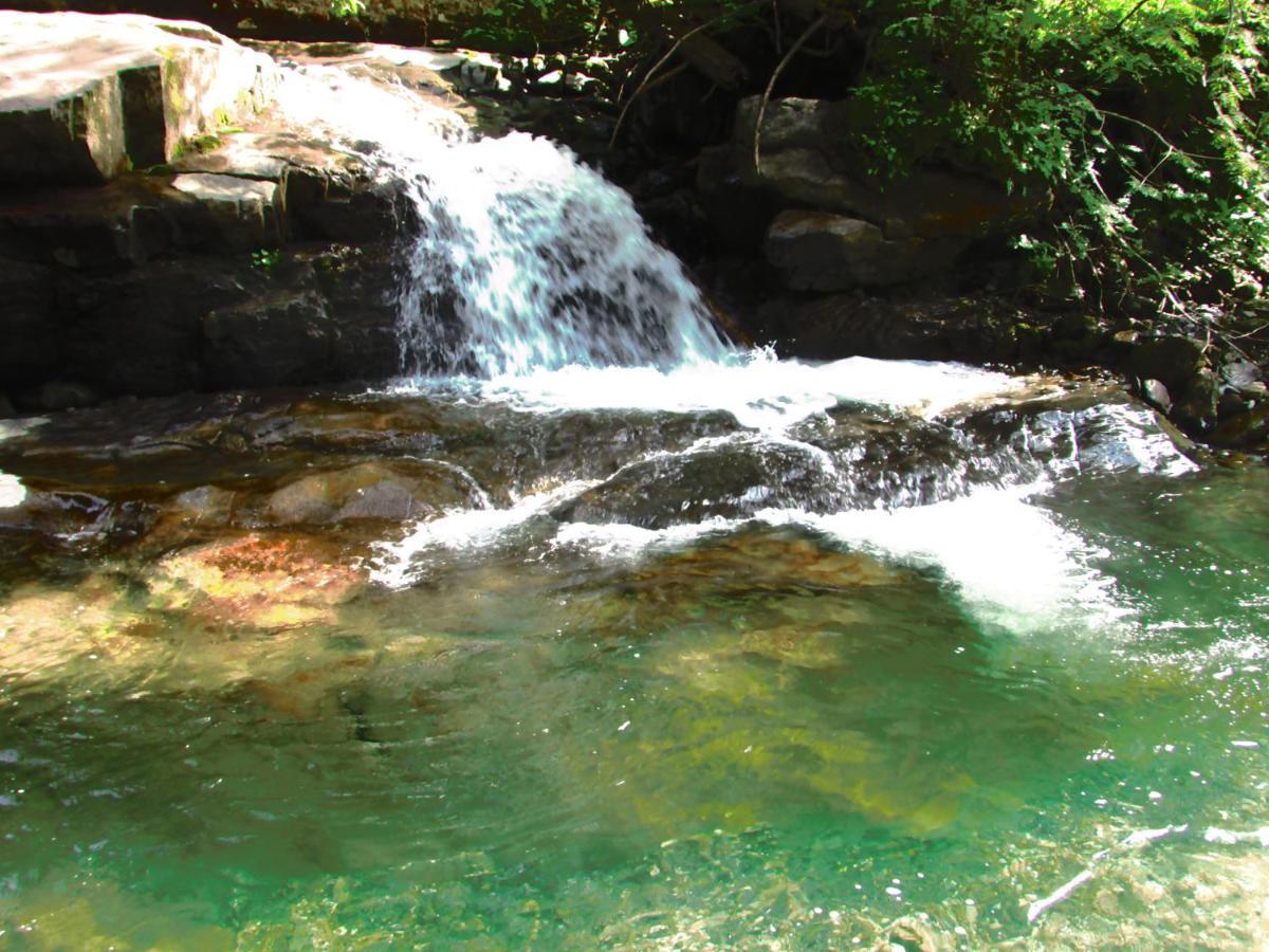 Chalet 294 Mellau Luaran gambar